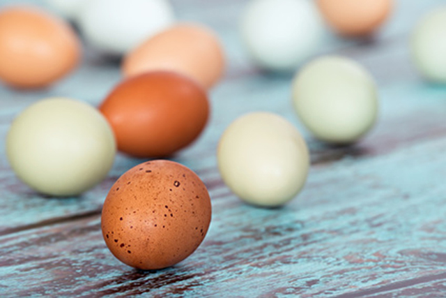 Nestlé announced its eggs will be cage-free by 2020