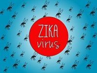 CDC releases new safe sex guidelines for the Zika virus