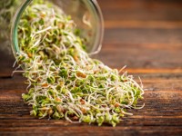 Multi-state Salmonella outbreak linked to alfalfa sprouts