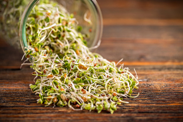 Multi-state Salmonella outbreak linked to alfalfa sprouts