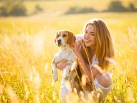 5 best home remedies for dog allergies