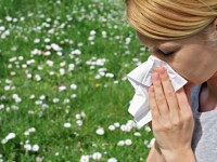5 best tips to get through allergy season