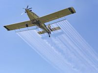 Pesticide spraying is linked to autism