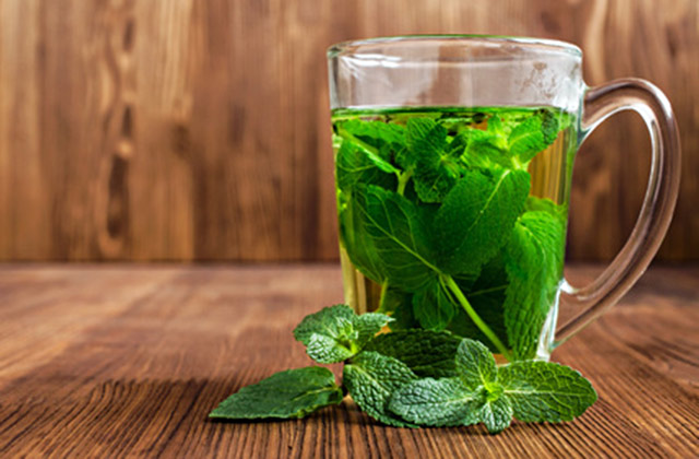 Drinking peppermint tea boosts memory