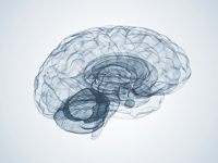 Obesity speeds up brain aging