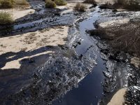 Pipeline has spilled 176,000 gallons of oil near Dakota Access camp