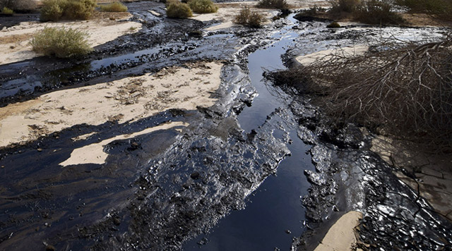 Pipeline has spilled 176,000 gallons of oil near Dakota Access camp