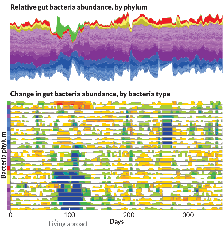 Amazing visual of one scientists gut microbe changes over a year