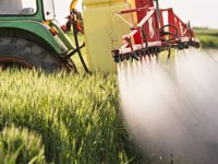 Controversial pesticide is linked to Parkinson’s disease