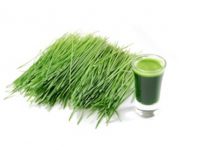 A shot glass of wheatgrass with fresh cut wheat grass